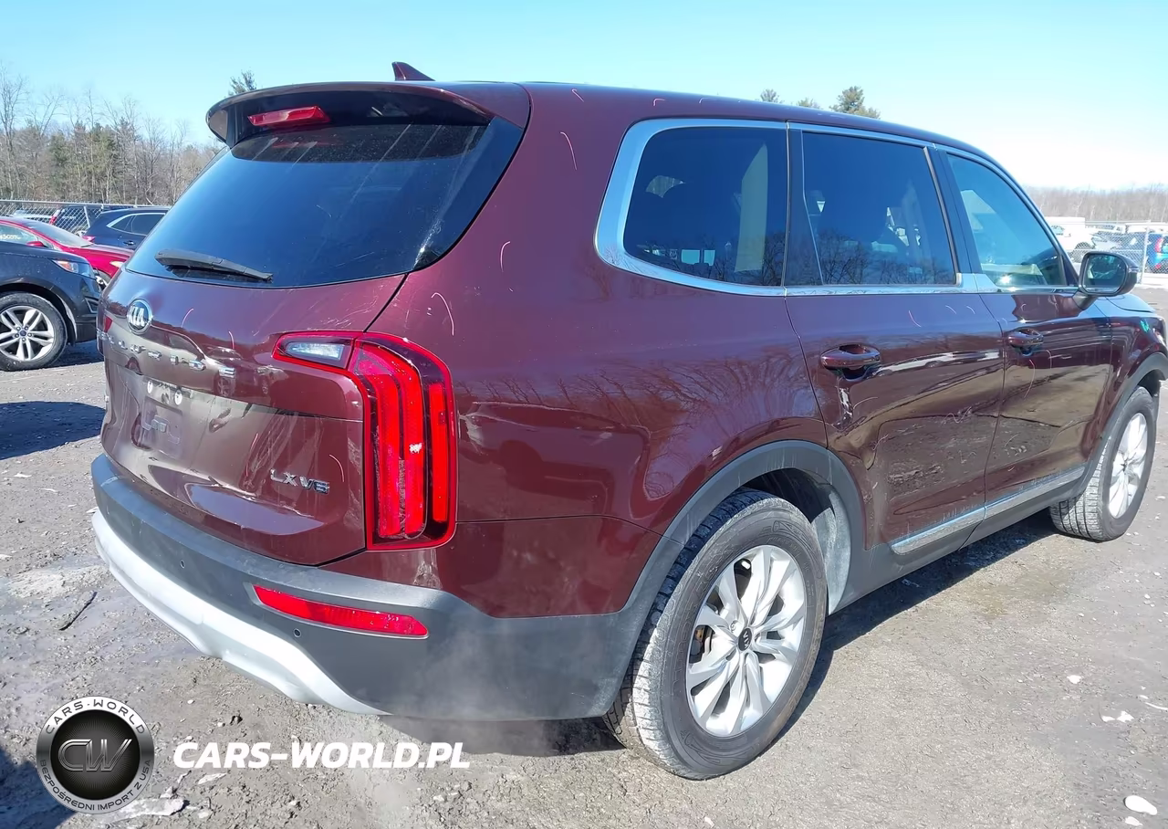2020 Kia Telluride Lx VIN:5XYP2DHCXLG061059 - 4