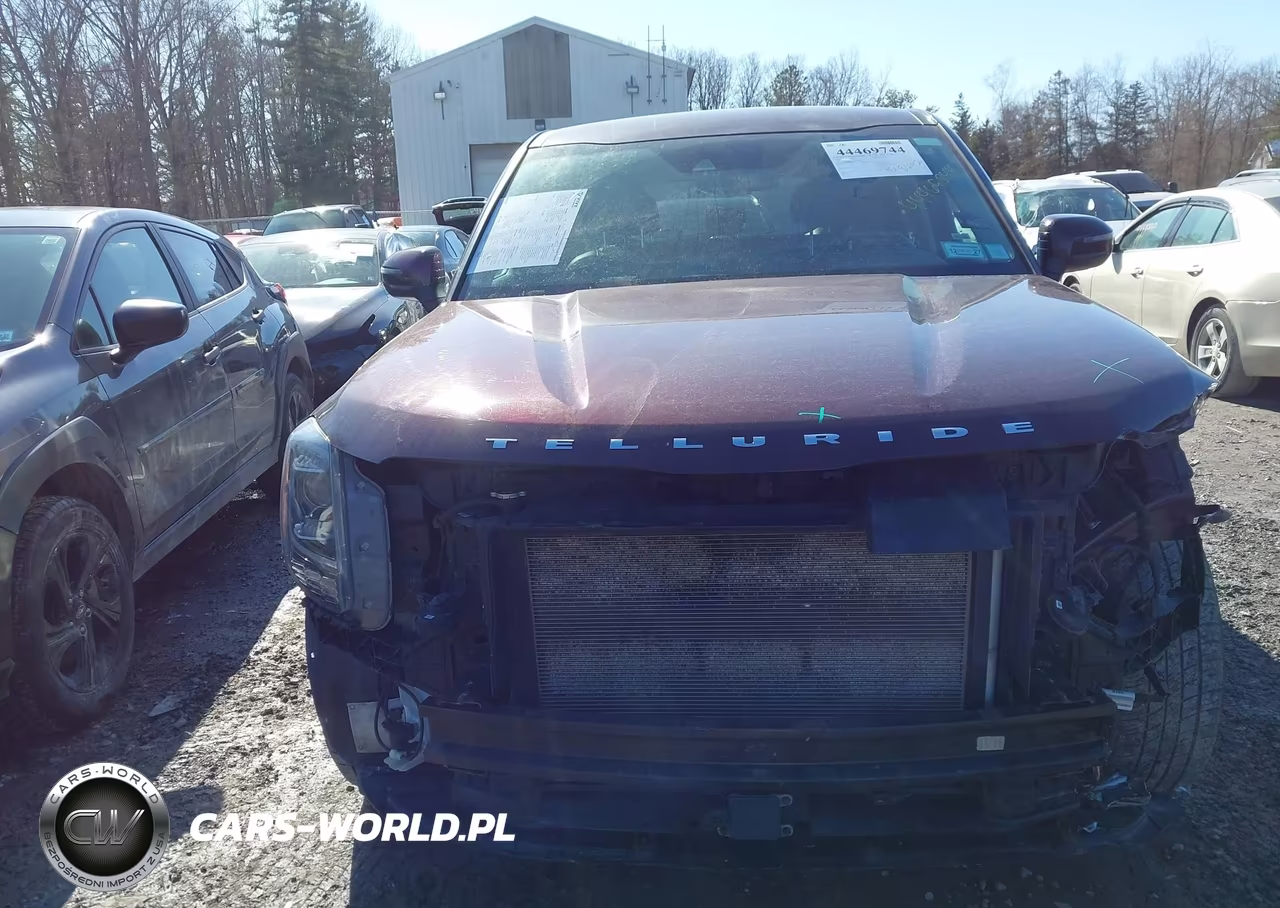 2020 Kia Telluride Lx VIN:5XYP2DHCXLG061059 - 6