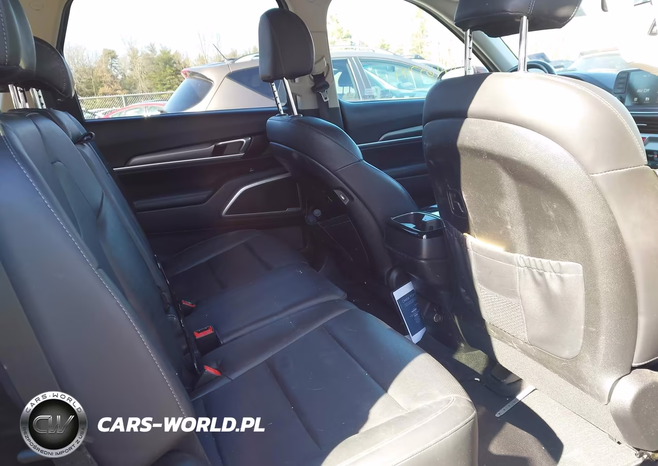 2020 Kia Telluride Lx VIN:5XYP2DHCXLG061059 - 8