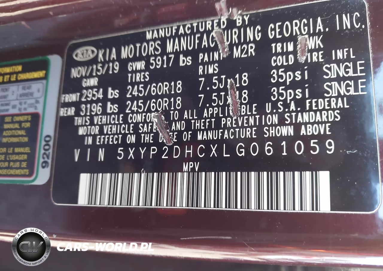 2020 Kia Telluride Lx VIN:5XYP2DHCXLG061059 - 9