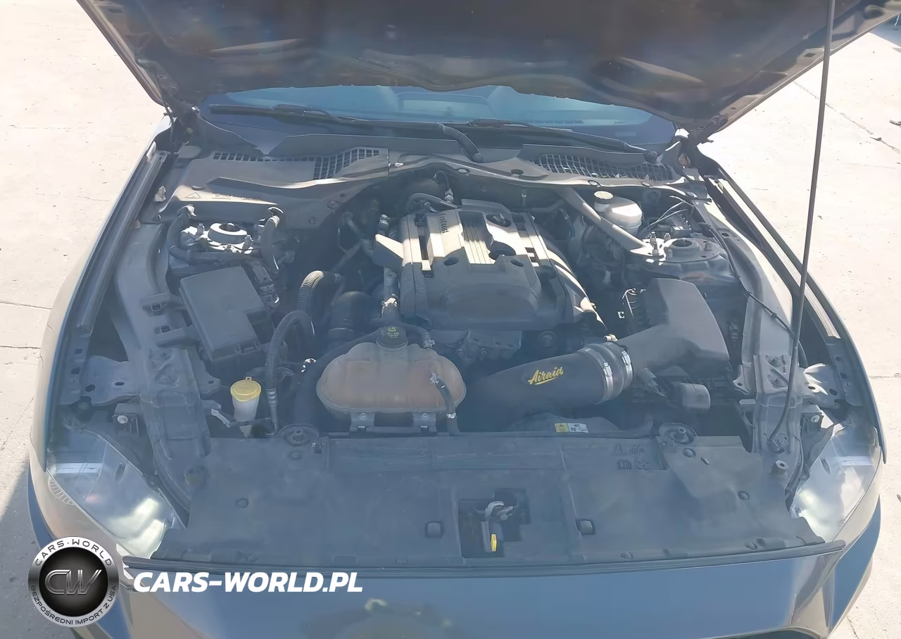 2018 Ford Mustang Ecoboost Premium VIN:1FATP8UH5J5110124 - 10