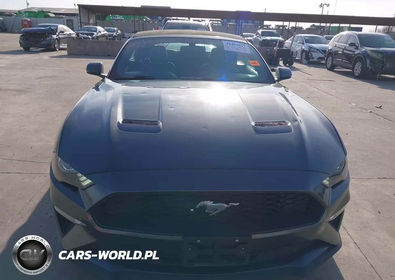 2018 Ford Mustang Ecoboost Premium VIN:1FATP8UH5J5110124 - 12