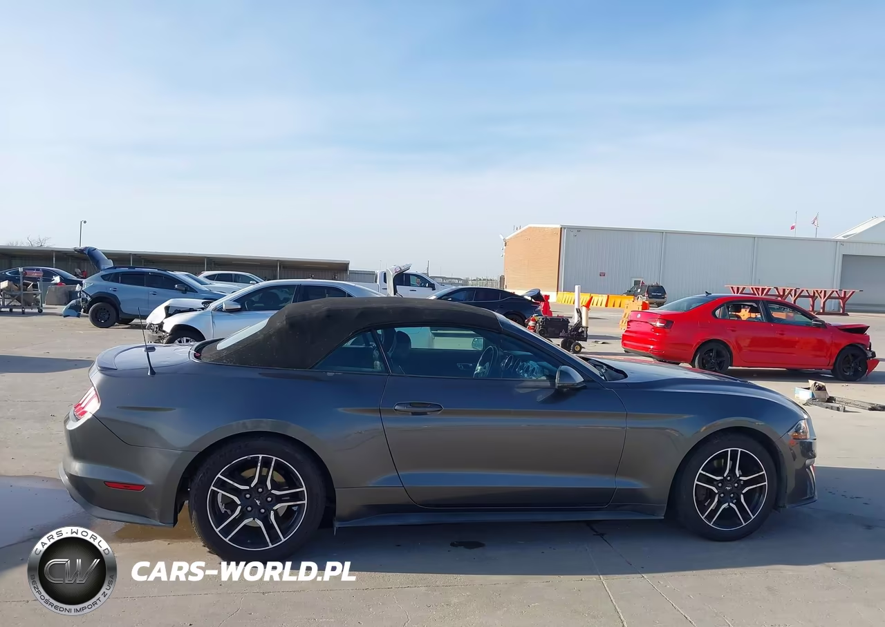 2018 Ford Mustang Ecoboost Premium VIN:1FATP8UH5J5110124 - 13