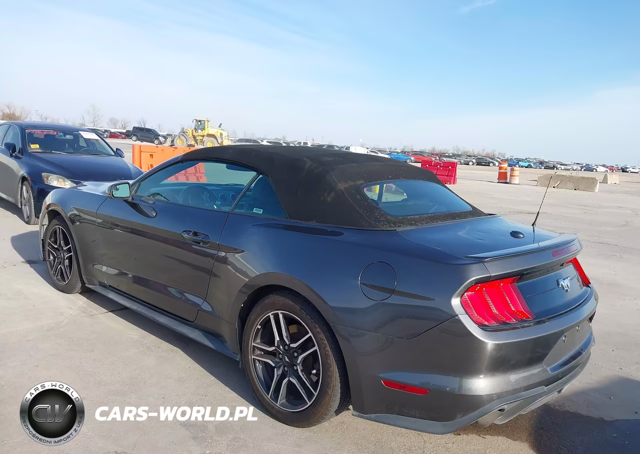 2018 Ford Mustang Ecoboost Premium VIN:1FATP8UH5J5110124 - 3