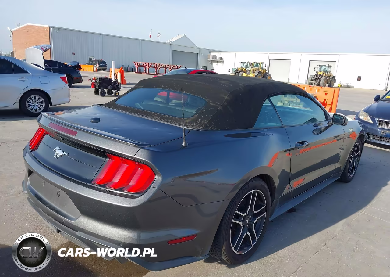 2018 Ford Mustang Ecoboost Premium VIN:1FATP8UH5J5110124 - 4