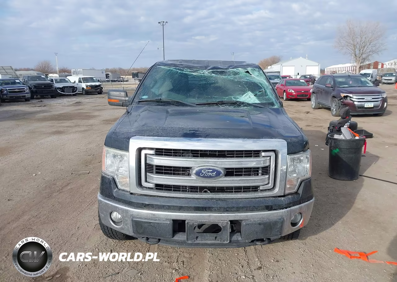 2013 Ford F-150 Xlt VIN:1FTFW1EF3DKE35701 - 12
