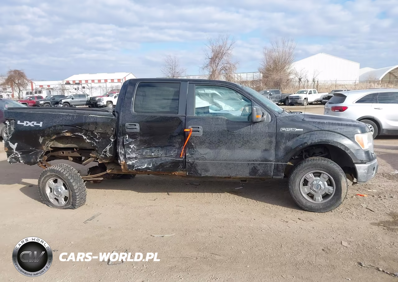 2013 Ford F-150 Xlt VIN:1FTFW1EF3DKE35701 - 13