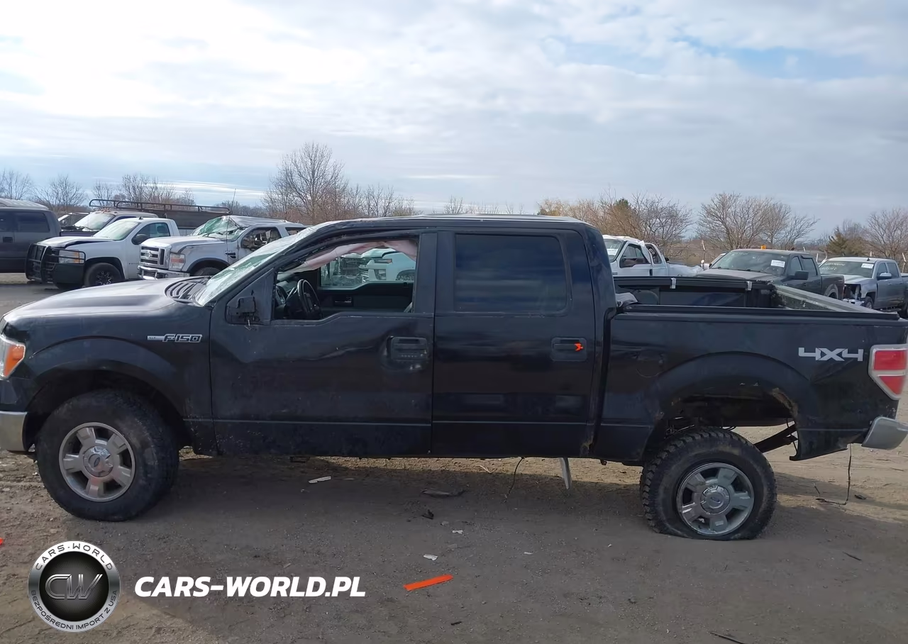 2013 Ford F-150 Xlt VIN:1FTFW1EF3DKE35701 - 14