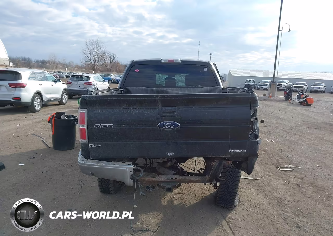 2013 Ford F-150 Xlt VIN:1FTFW1EF3DKE35701 - 16