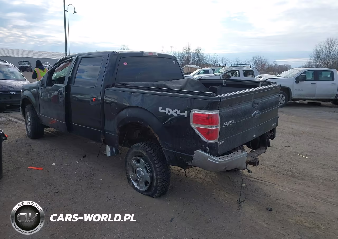 2013 Ford F-150 Xlt VIN:1FTFW1EF3DKE35701 - 3