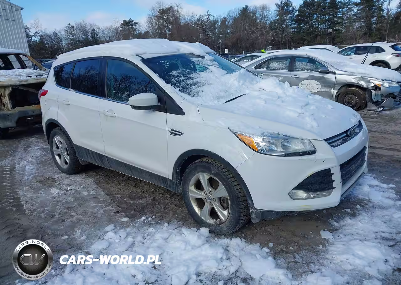 2014 Ford Escape Se