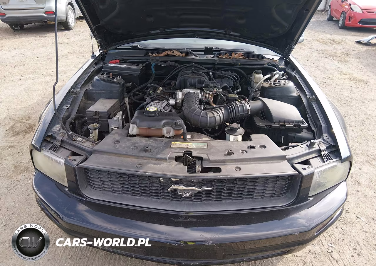 2009 Ford Mustang V6-V6 Premium VIN:1ZVHT80N595139011 - 10