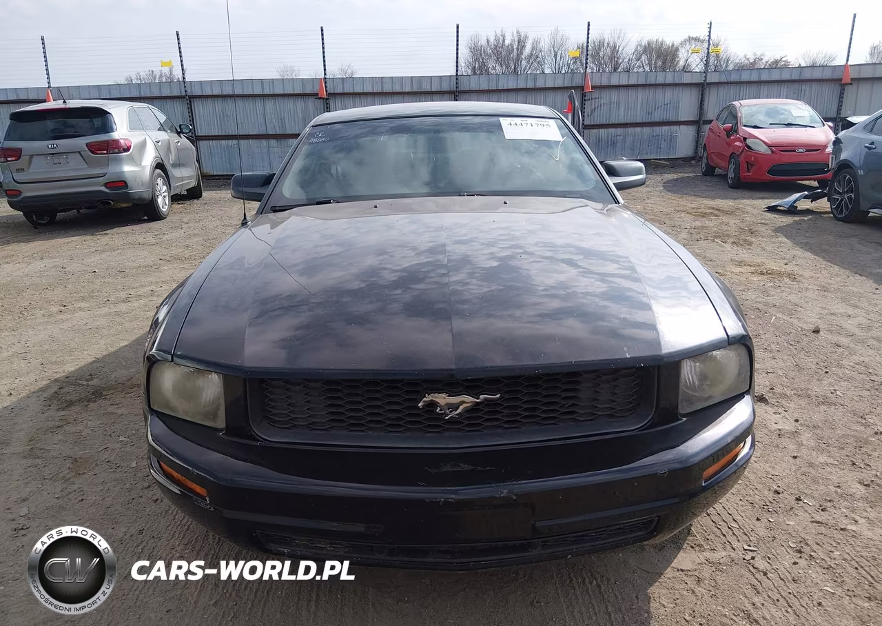 2009 Ford Mustang V6-V6 Premium VIN:1ZVHT80N595139011 - 12