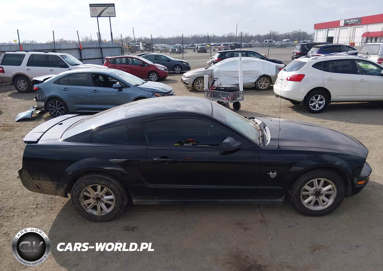 2009 Ford Mustang V6-V6 Premium VIN:1ZVHT80N595139011 - 13