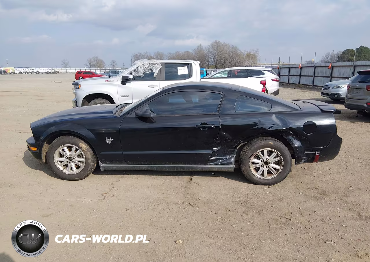 2009 Ford Mustang V6-V6 Premium VIN:1ZVHT80N595139011 - 14