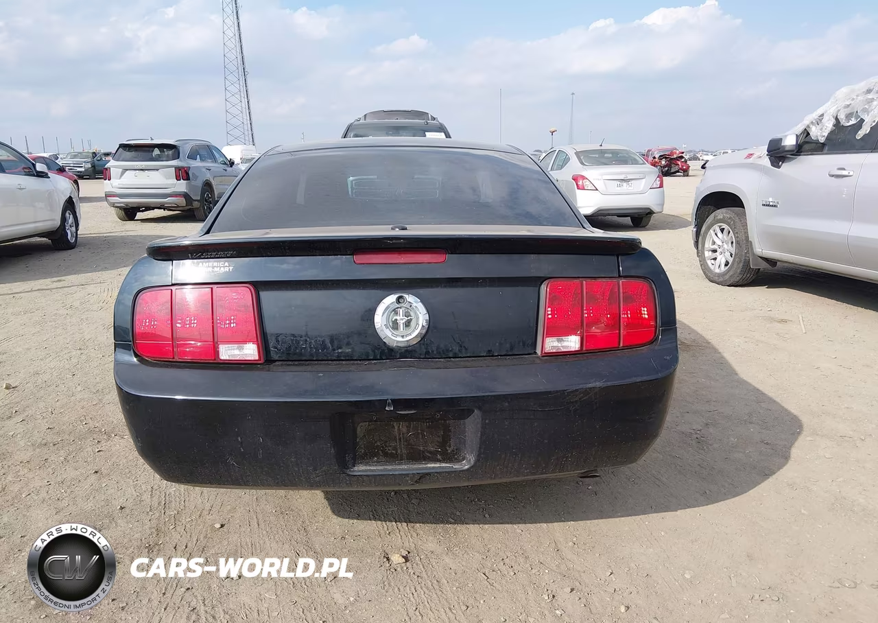 2009 Ford Mustang V6-V6 Premium VIN:1ZVHT80N595139011 - 16