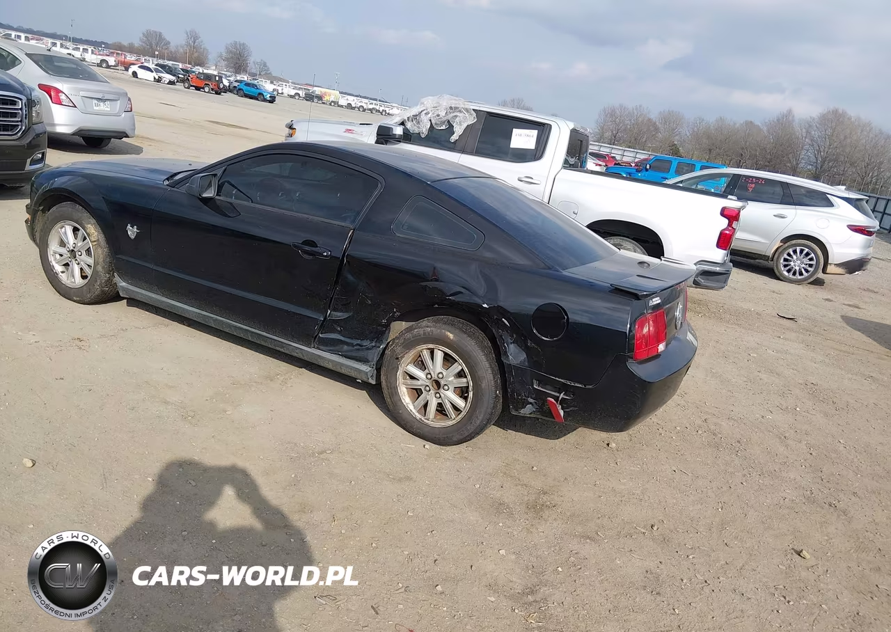 2009 Ford Mustang V6-V6 Premium VIN:1ZVHT80N595139011 - 3