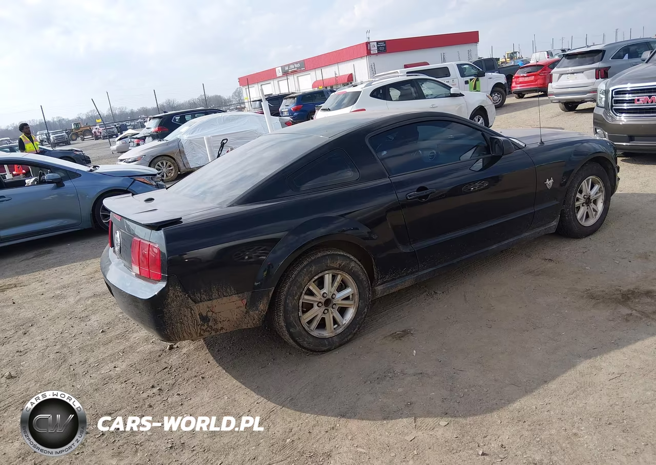 2009 Ford Mustang V6-V6 Premium VIN:1ZVHT80N595139011 - 4