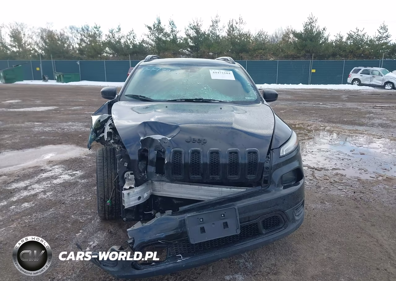 2016 Jeep Cherokee Altitude VIN:1C4PJLAB8GW307713 - 12