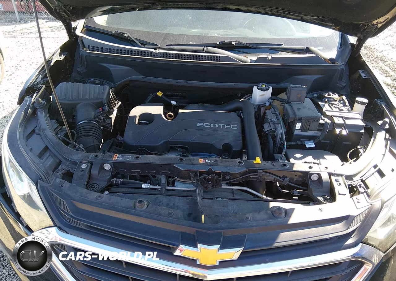 2019 Chevrolet Equinox Ls VIN:2GNAXHEV1K6196969 - 10