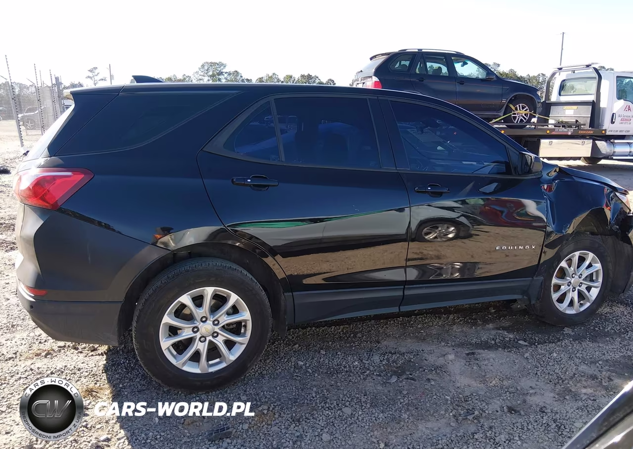 2019 Chevrolet Equinox Ls VIN:2GNAXHEV1K6196969 - 13