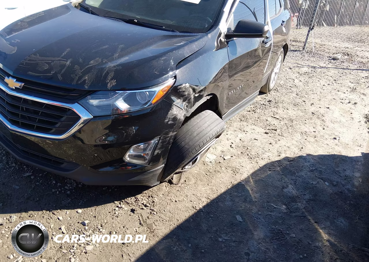 2019 Chevrolet Equinox Ls VIN:2GNAXHEV1K6196969 - 19