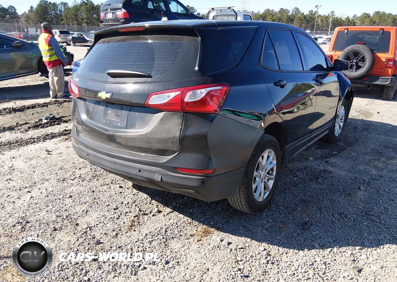 2019 Chevrolet Equinox Ls VIN:2GNAXHEV1K6196969 - 4