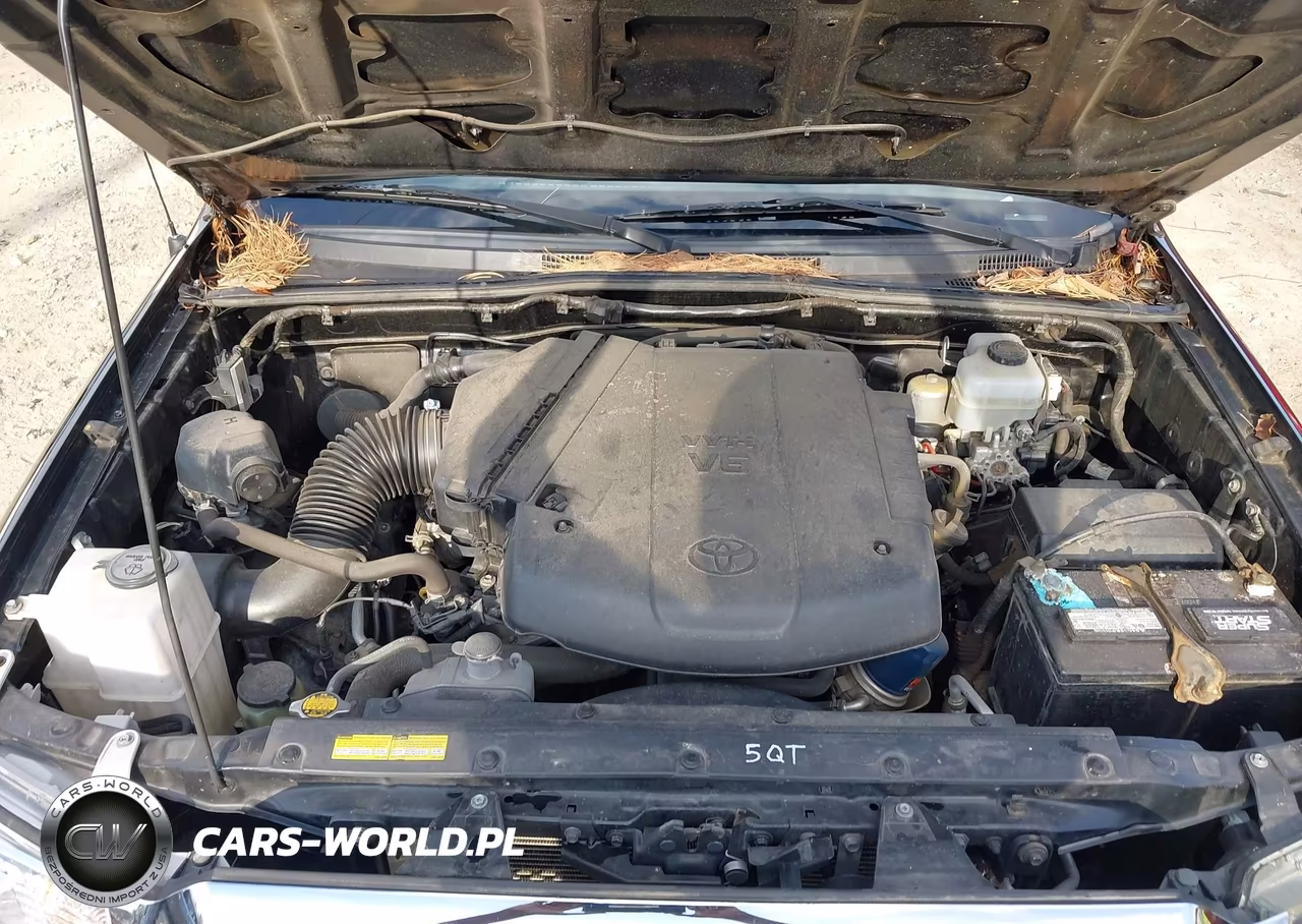 2015 Toyota Tacoma Base V6 VIN:5TFLU4EN2FX133856 - 10
