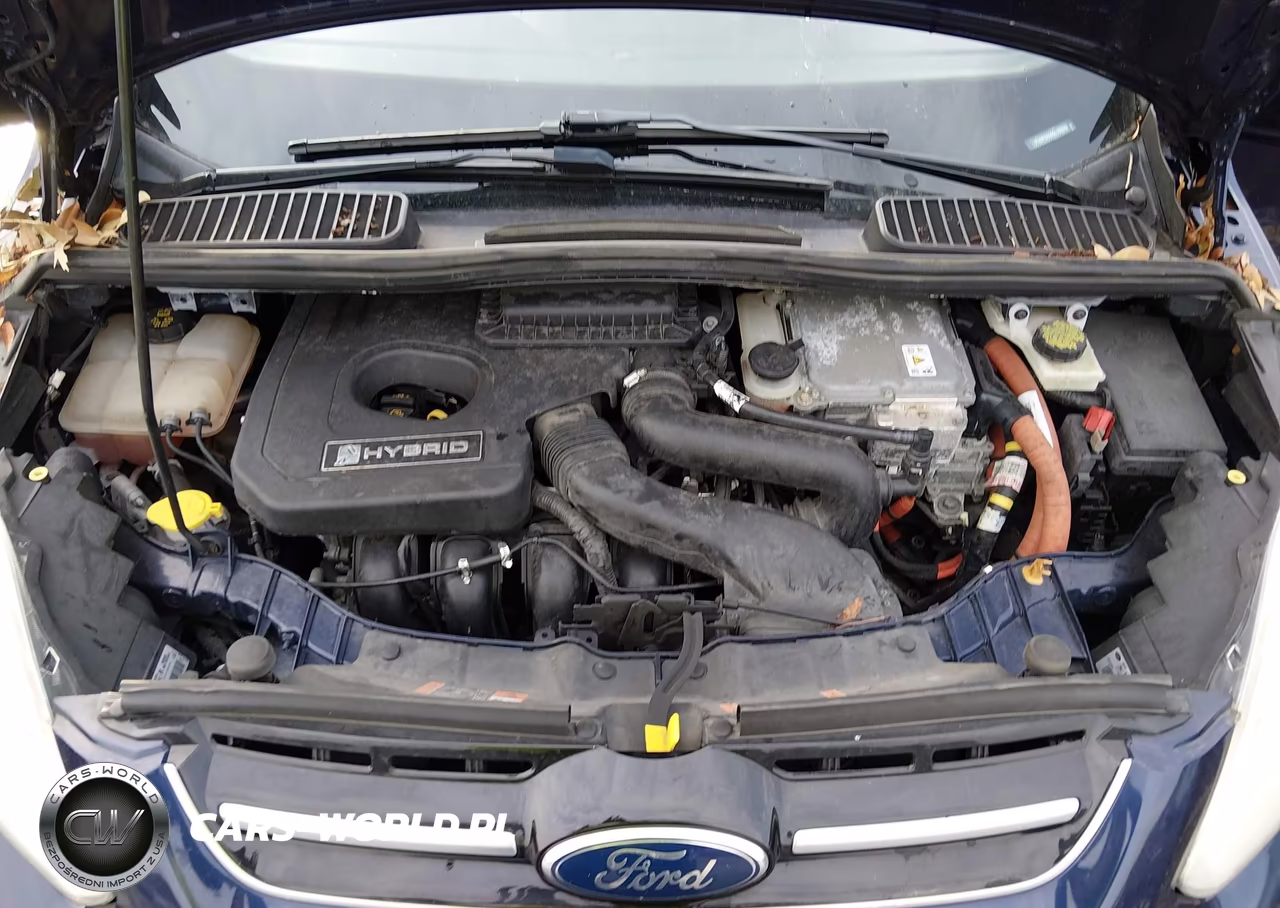 2016 Ford C-Max Hybrid Se VIN:1FADP5AU8GL108943 - 10