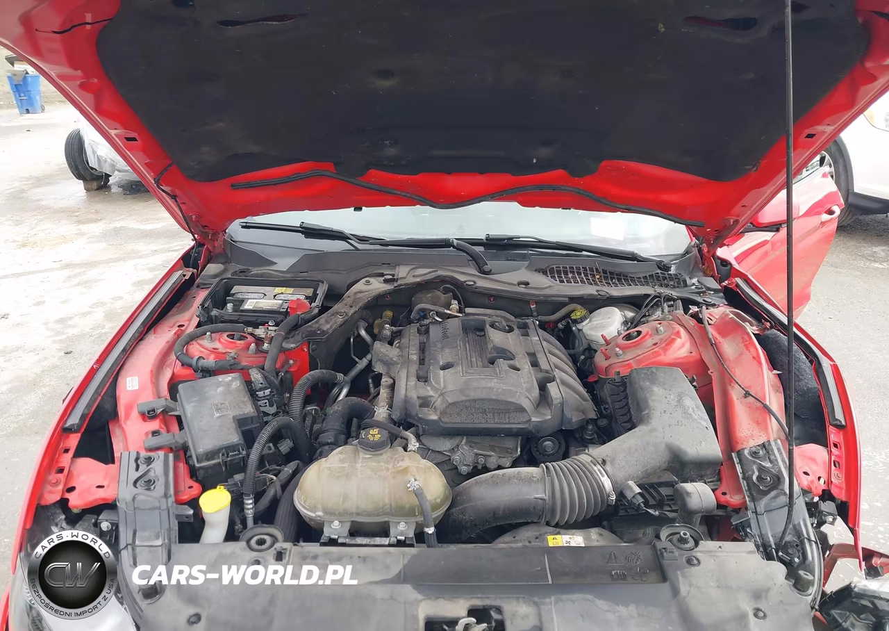 2018 Ford Mustang Ecoboost VIN:1FA6P8TH1J5176927 - 10