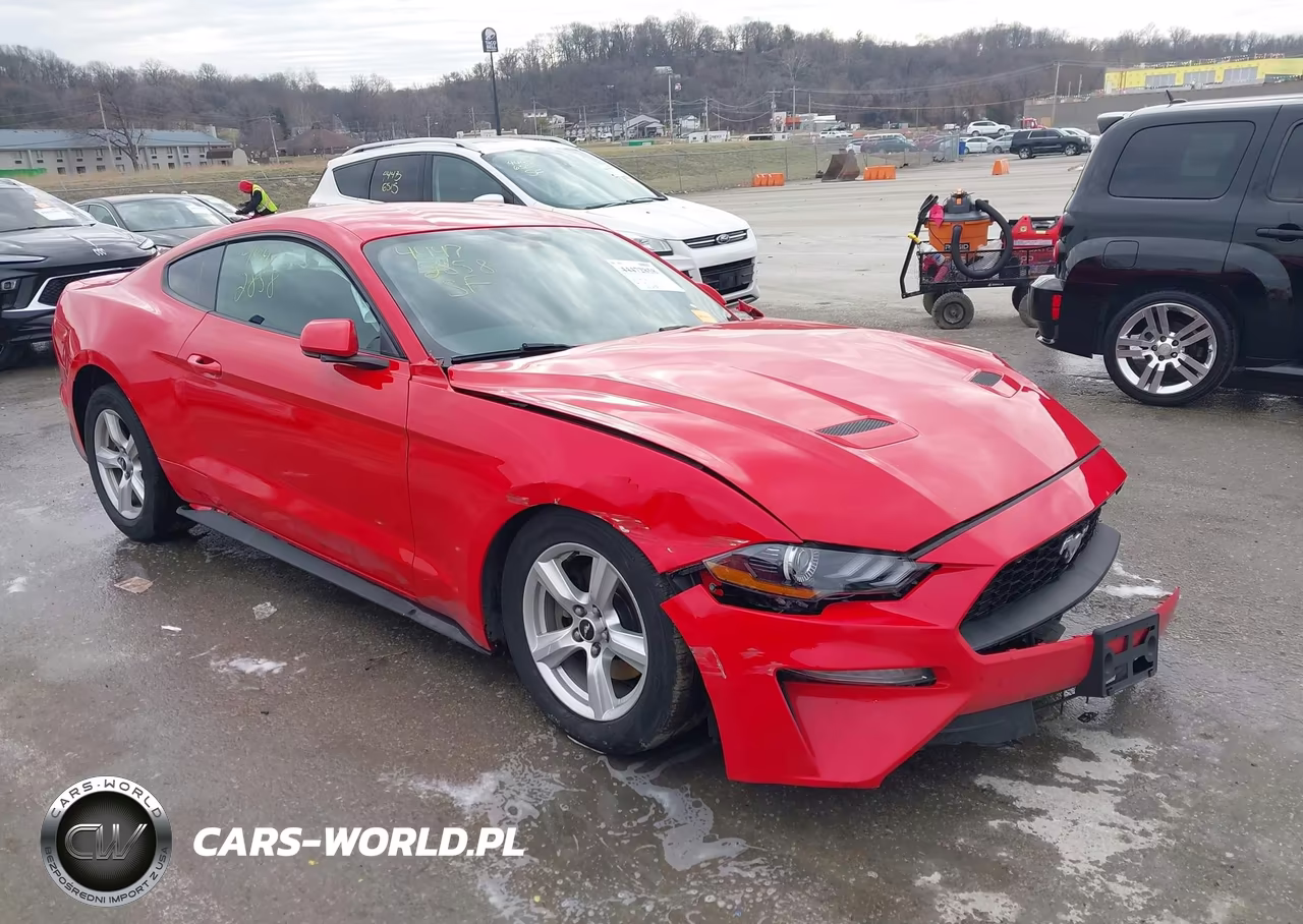 2018 Ford Mustang Ecoboost VIN:1FA6P8TH1J5176927 - 19