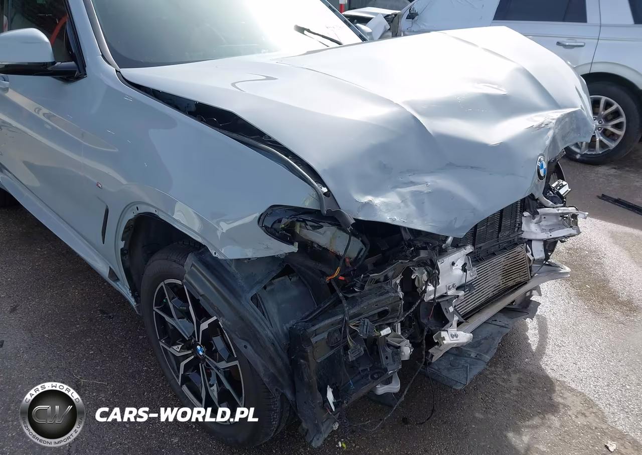 2023 BMW X3 Sdrive30I VIN:5UX43DP09P9P77822 - 6