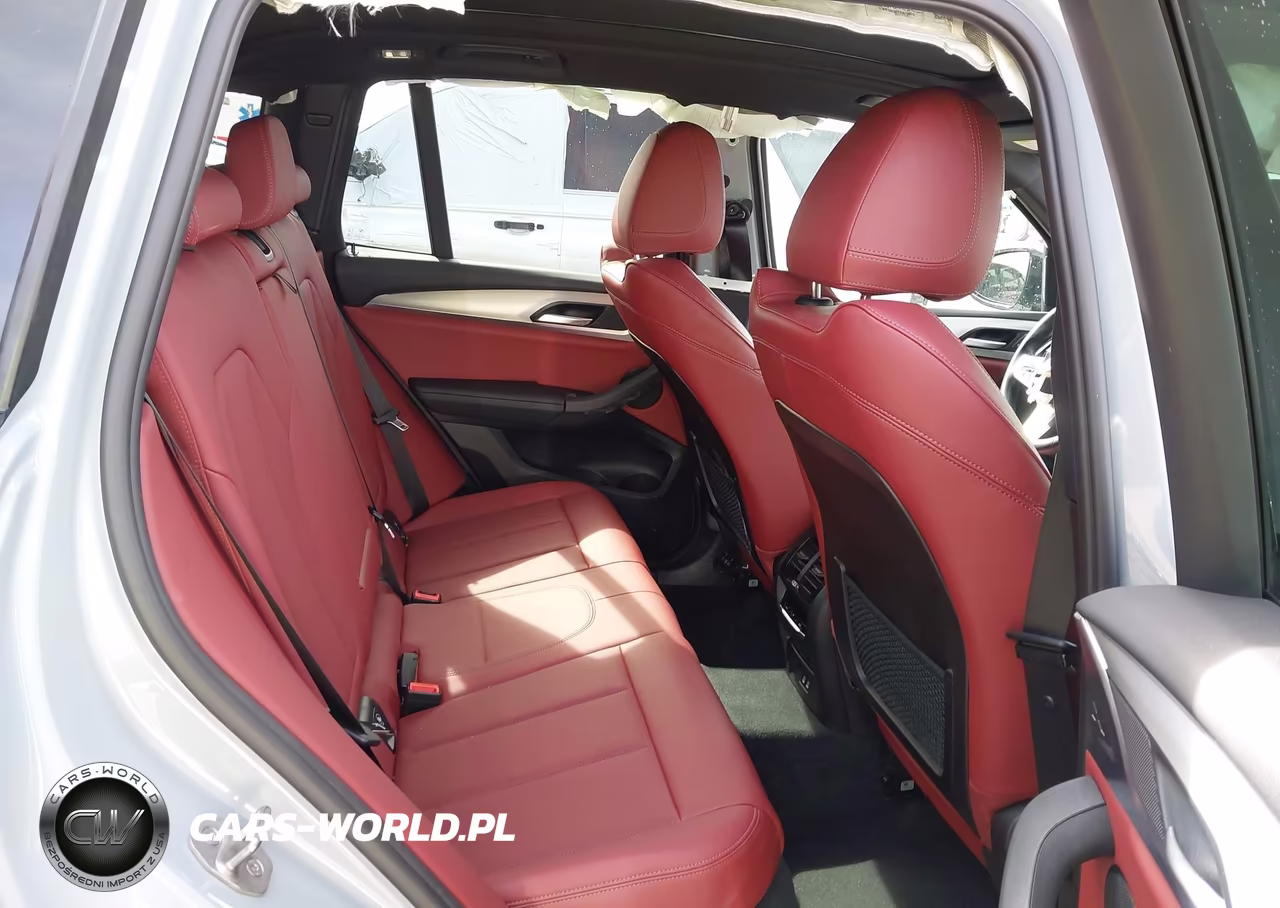 2023 BMW X3 Sdrive30I VIN:5UX43DP09P9P77822 - 8
