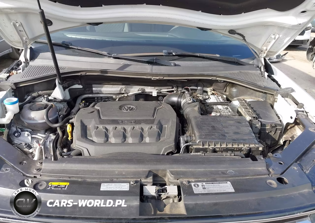 2019 Volkswagen Tiguan 2.0T S VIN:3VV1B7AX2KM078557 - 10