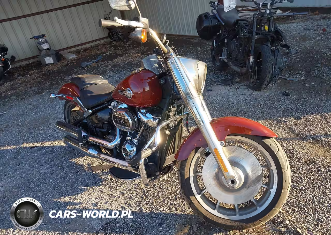 2024 Harley-Davidson Flfbs