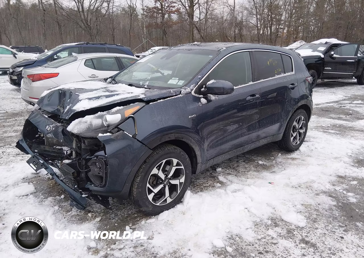 2020 Kia Sportage Lx VIN:KNDPMCAC7L7766980 - 2
