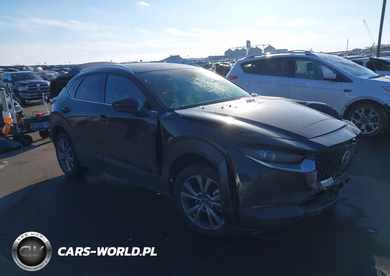 2025 Mazda Cx-30 2.5 S Premium Package