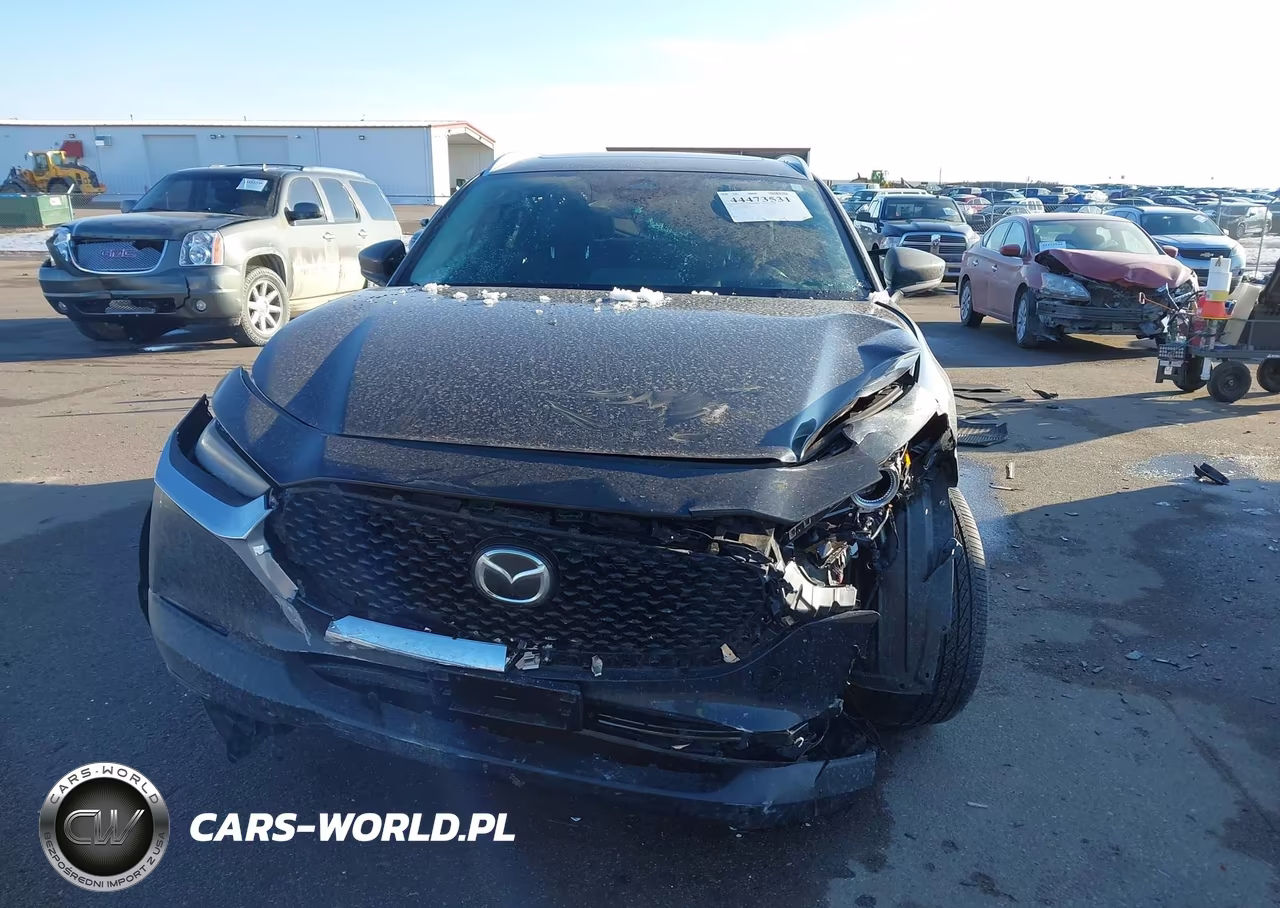 2025 Mazda Cx-30 2.5 S Premium Package VIN:3MVDMBDM8SM783744 - 12