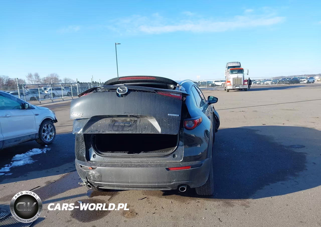 2025 Mazda Cx-30 2.5 S Premium Package VIN:3MVDMBDM8SM783744 - 16