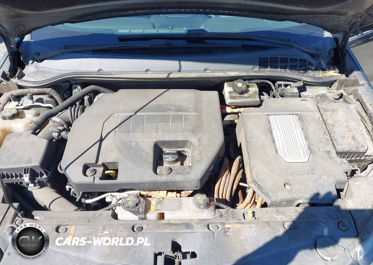 2015 Chevrolet Volt VIN:1G1RD6E41FU142443 - 10