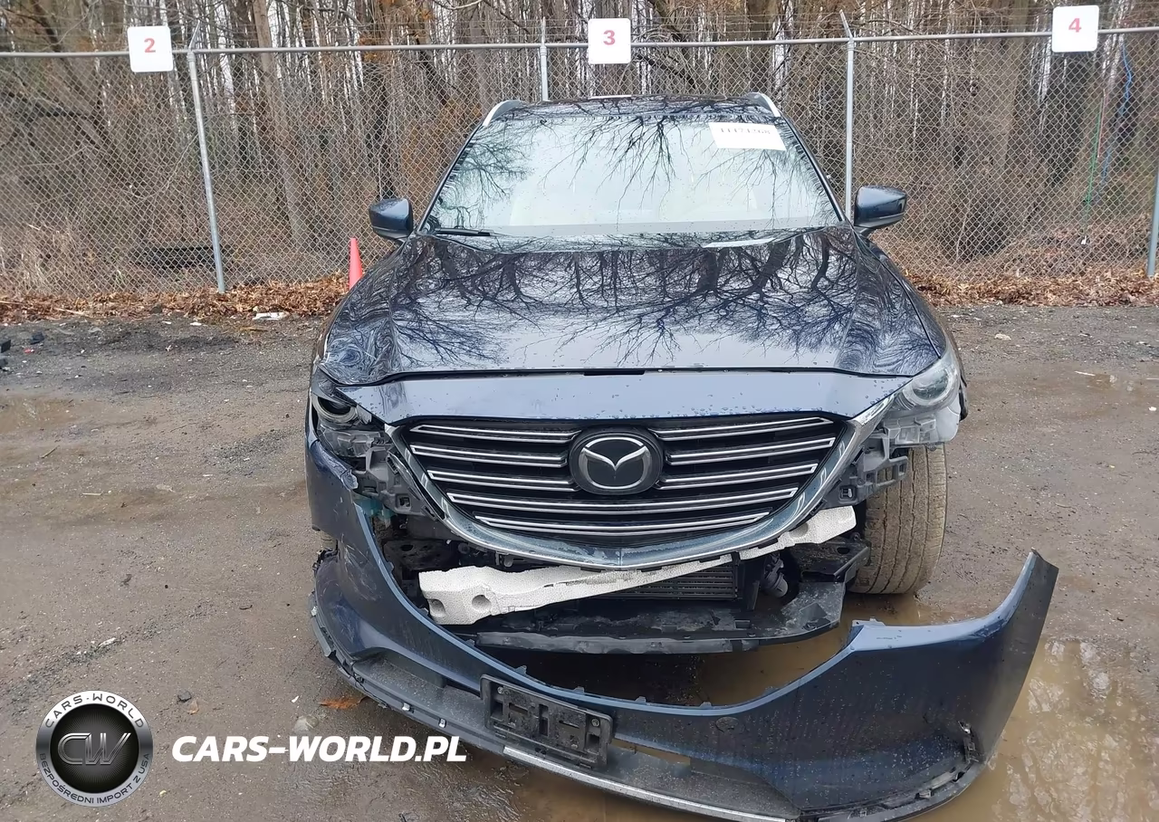 2016 Mazda Cx-9 Grand Touring VIN:JM3TCBDY8G0101238 - 12