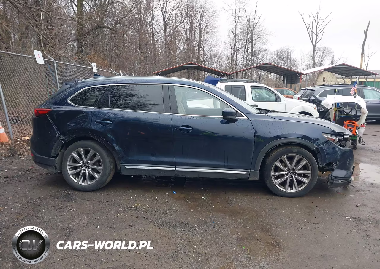 2016 Mazda Cx-9 Grand Touring VIN:JM3TCBDY8G0101238 - 13