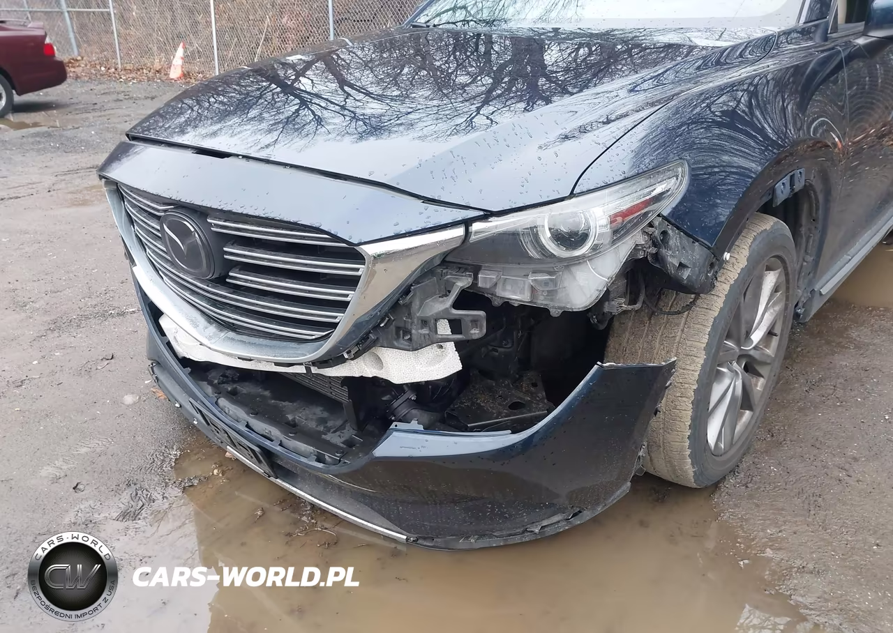 2016 Mazda Cx-9 Grand Touring VIN:JM3TCBDY8G0101238 - 6