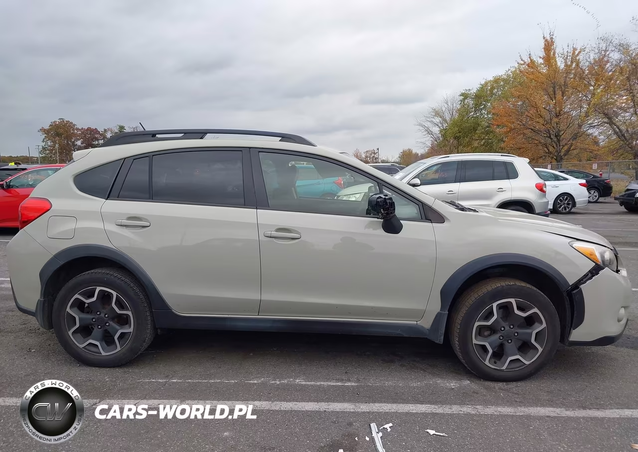 2014 Subaru Xv Crosstrek 2.0I Premium VIN:JF2GPACC4E8325847 - 13
