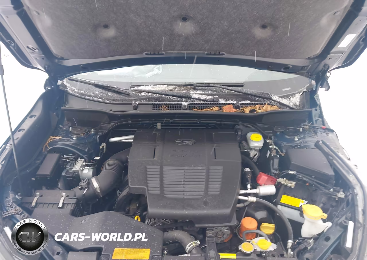 2023 Subaru Forester Wilderness VIN:JF2SKAMC3PH500650 - 10
