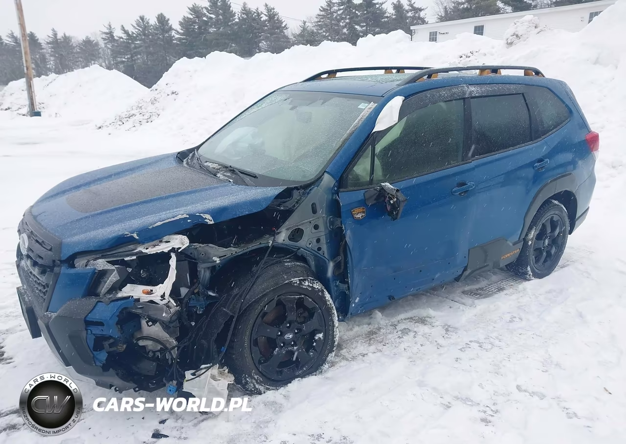 2023 Subaru Forester Wilderness VIN:JF2SKAMC3PH500650 - 12