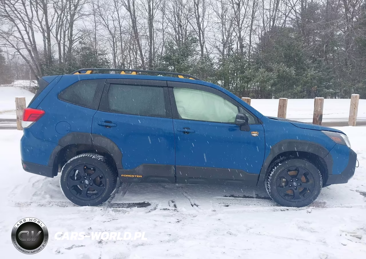 2023 Subaru Forester Wilderness VIN:JF2SKAMC3PH500650 - 14