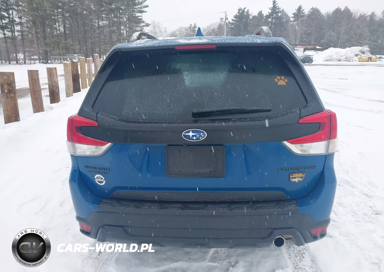 2023 Subaru Forester Wilderness VIN:JF2SKAMC3PH500650 - 17