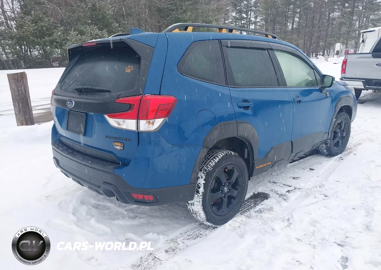 2023 Subaru Forester Wilderness VIN:JF2SKAMC3PH500650 - 4