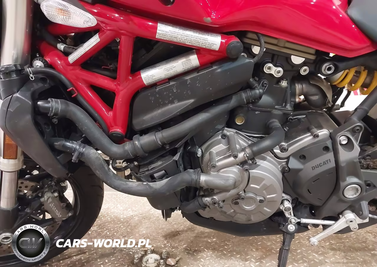 2019 Ducati Monster 821 VIN:ZDMMACLS5KB003890 - 9